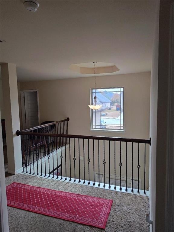 staircase featuring carpet floors