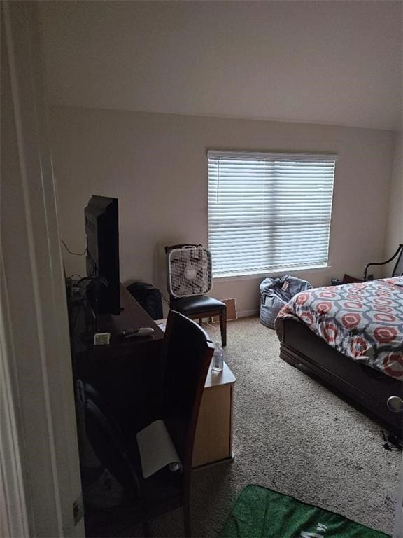 bedroom with carpet