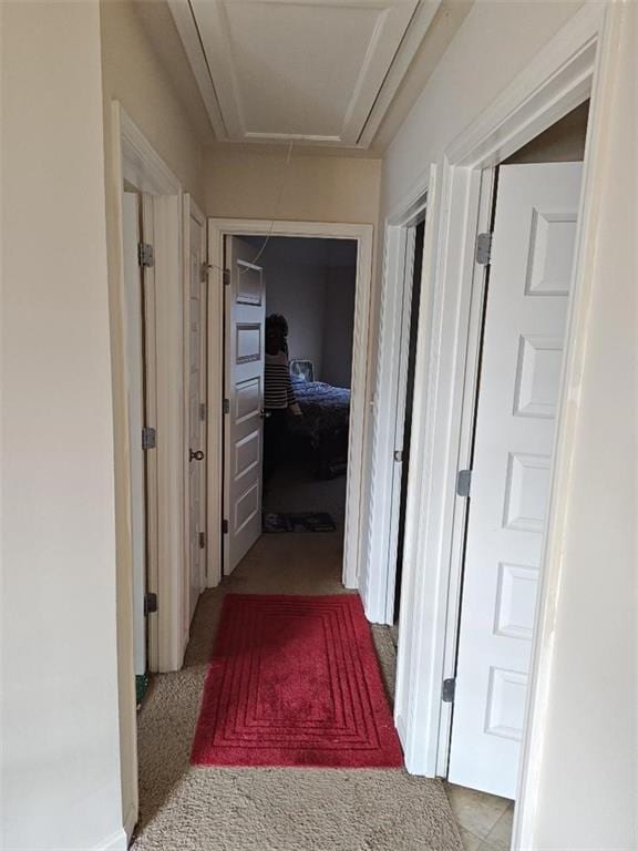 hallway with carpet