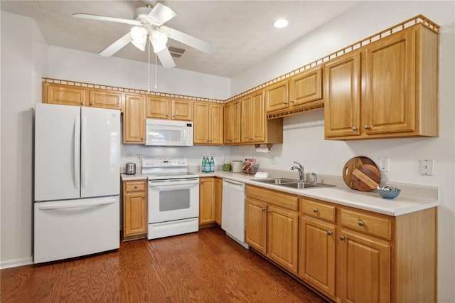 kitchen with ceiling fan, white appliances, dark hardwood / wood-style flooring, and sink