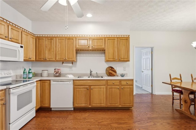 kitchen with dark hardwood / wood-style floors, sink, white appliances, ceiling fan, and a textured ceiling