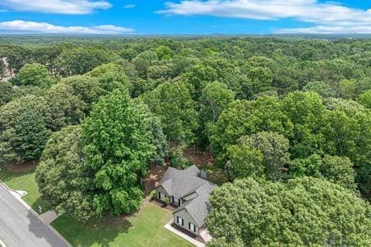 2105 Huntington Hills Trce, Buford, GA 30519 - bird's eye view of a heavily wooded area