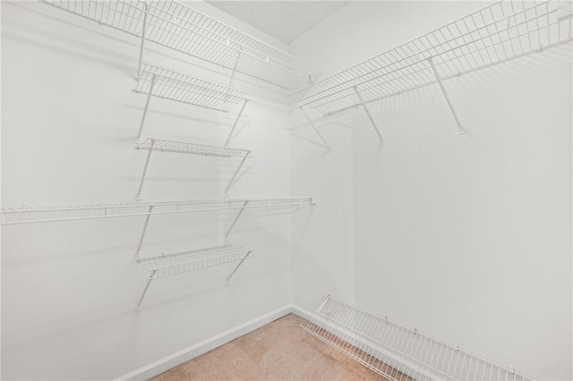spacious closet with light colored carpet