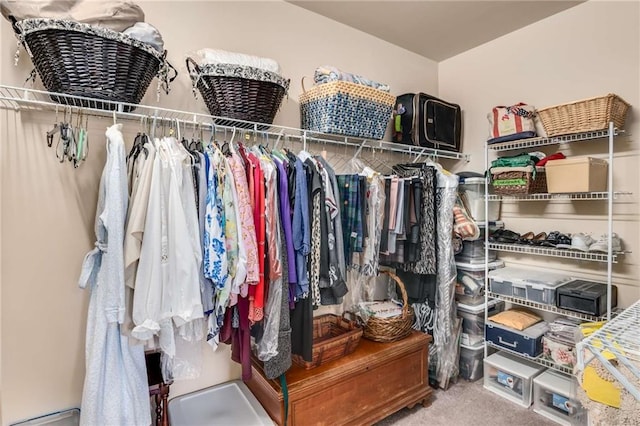 walk in closet with carpet floors