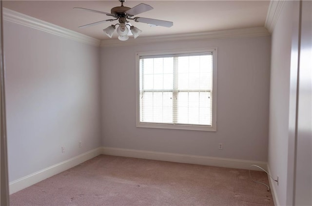 unfurnished room with ceiling fan, ornamental molding, and light carpet