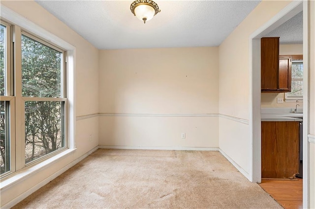 unfurnished room featuring light carpet and sink