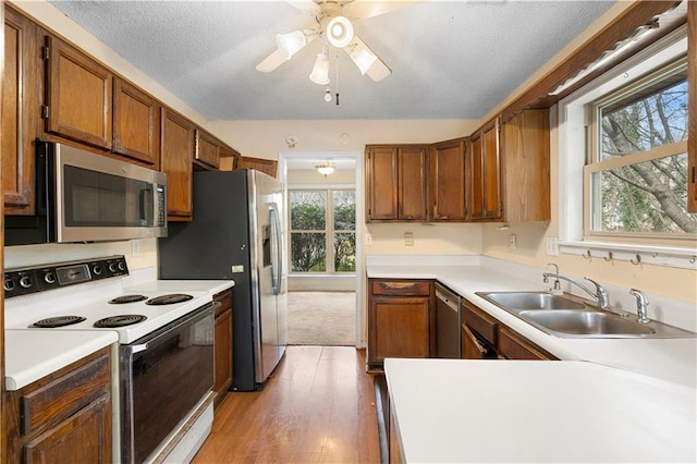 kitchen with stainless steel appliances, sink, a textured ceiling, ceiling fan, and light wood-type flooring