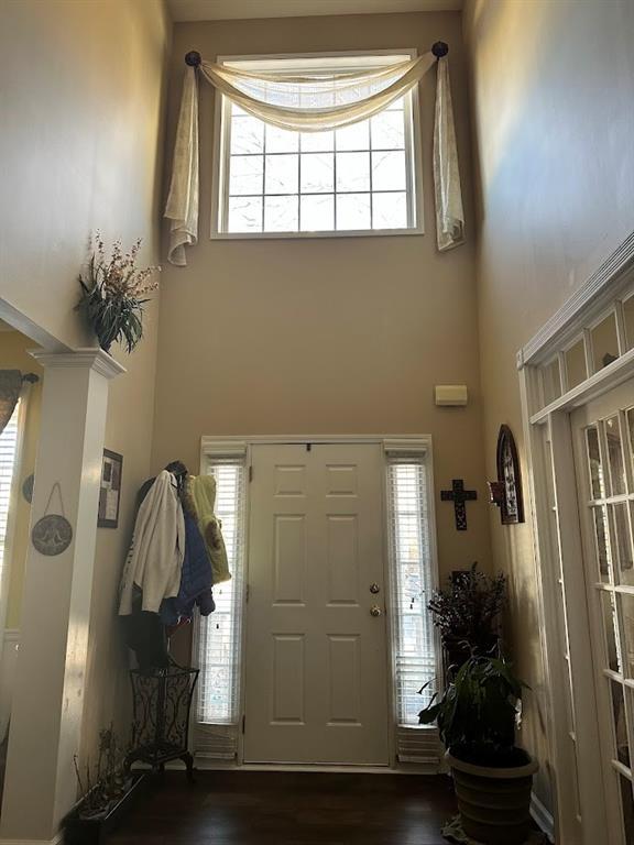 foyer entrance featuring dark wood finished floors and a towering ceiling