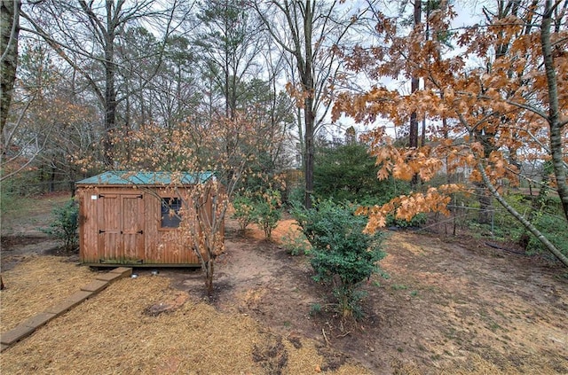 view of yard featuring a storage unit