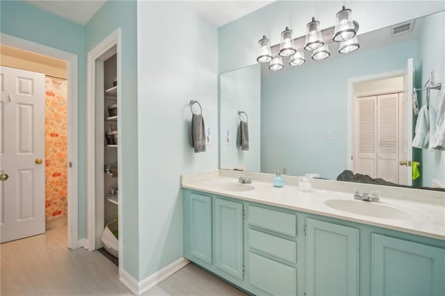 6500 Gaines Ferry Rd Unit E4, Flowery Branch, GA 30542 - bathroom featuring a closet, double vanity, and wood finished floors