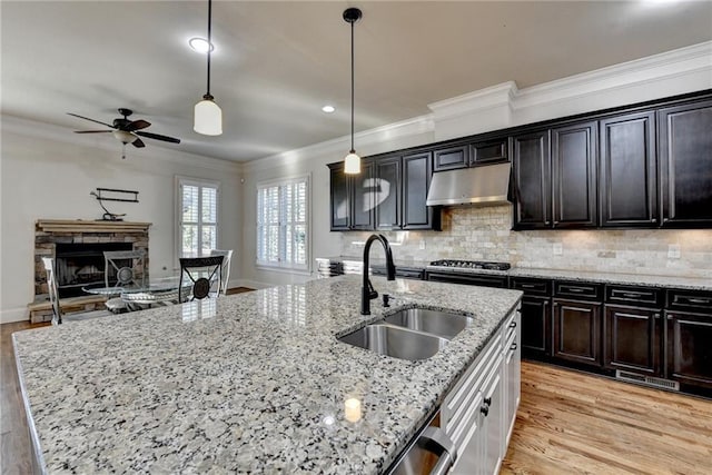 kitchen featuring under cabinet range hood, light wood-style flooring, ornamental molding, and a sink