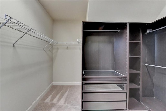 walk in closet featuring carpet flooring