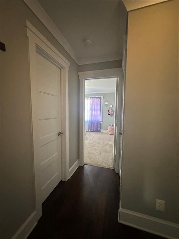 hall with crown molding and dark hardwood / wood-style floors