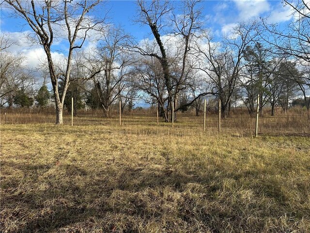 view of yard with a rural view