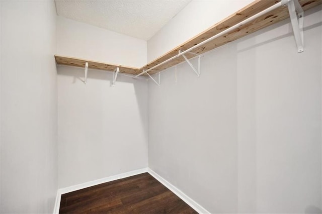 5555 Mountain Springs Cir, Stone Mountain, GA 30088 - walk in closet featuring dark wood-style flooring