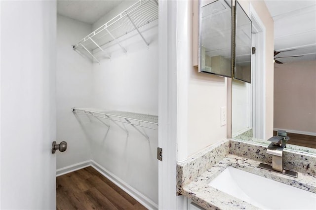 bathroom featuring hardwood / wood-style floors and vanity