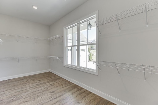 walk in closet with wood-type flooring