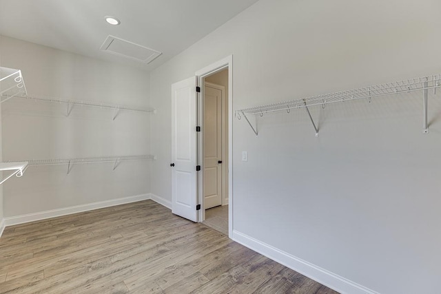 spacious closet with light wood-type flooring