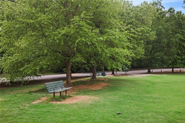 1672 Dekalb Ave NE Unit 2, Atlanta, GA 30307 - view of home's community with a yard