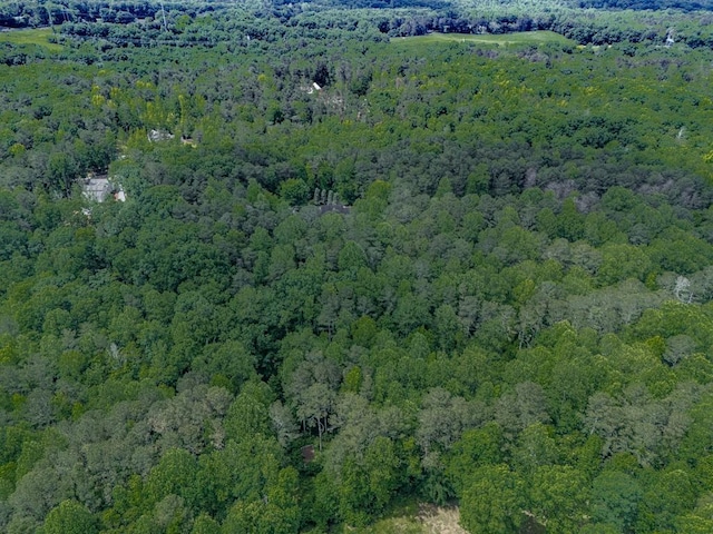 275 Frances Rd, Canton, GA 30114 - bird's eye view of a heavily wooded area