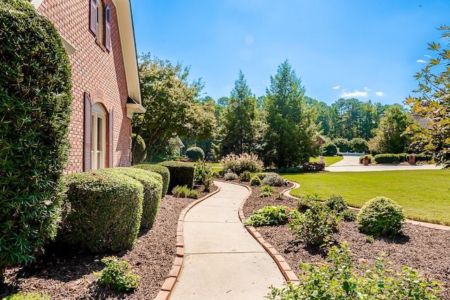 view of community with a lawn