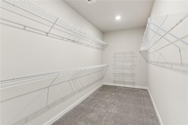 4045 Links Blvd, Jefferson, GA 30549 - spacious closet with carpet floors