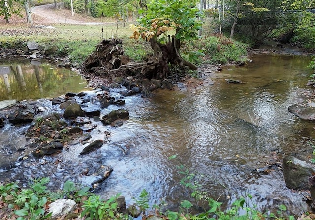 view of water feature