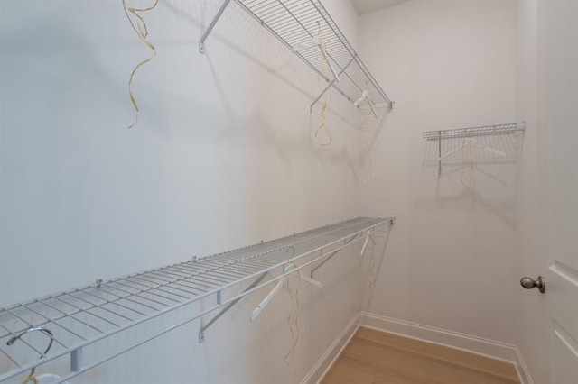 spacious closet featuring light wood finished floors