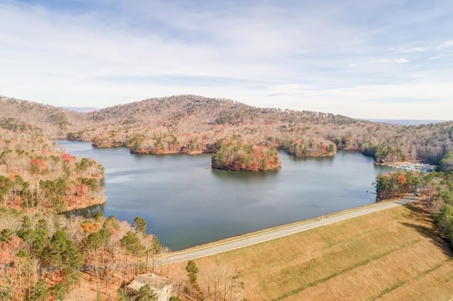 242 Buckskull Hollow Dr, Jasper, GA 30143 - water view featuring a heavily wooded area and mountains