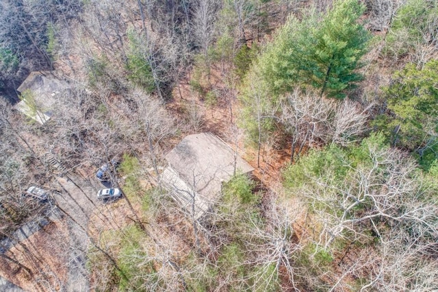 242 Buckskull Hollow Dr, Jasper, GA 30143 - aerial view