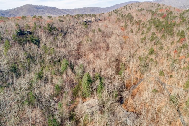 242 Buckskull Hollow Dr, Jasper, GA 30143 - view of mountain background
