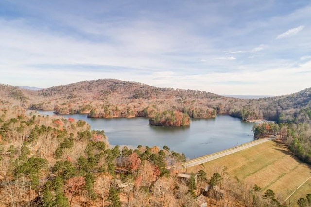 242 Buckskull Hollow Dr, Jasper, GA 30143 - water view featuring a forest and mountains