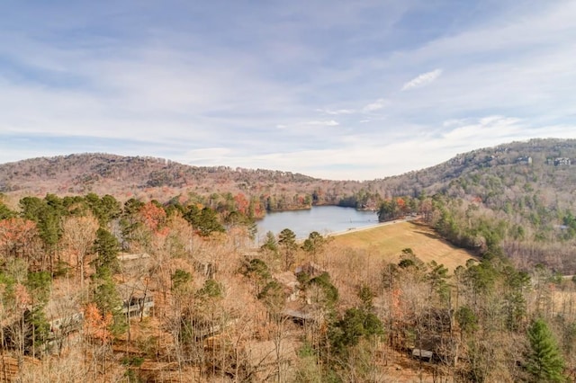 242 Buckskull Hollow Dr, Jasper, GA 30143 - view of mountain background with a nearby body of water and a forest