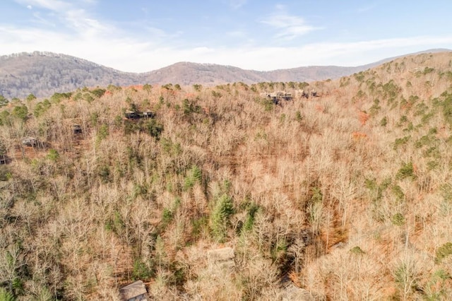 242 Buckskull Hollow Dr, Jasper, GA 30143 - view of mountain background with a forest