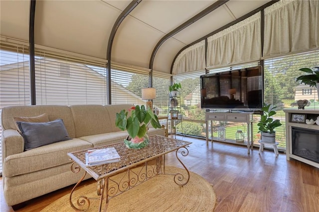 living room with hardwood / wood-style flooring and a wealth of natural light