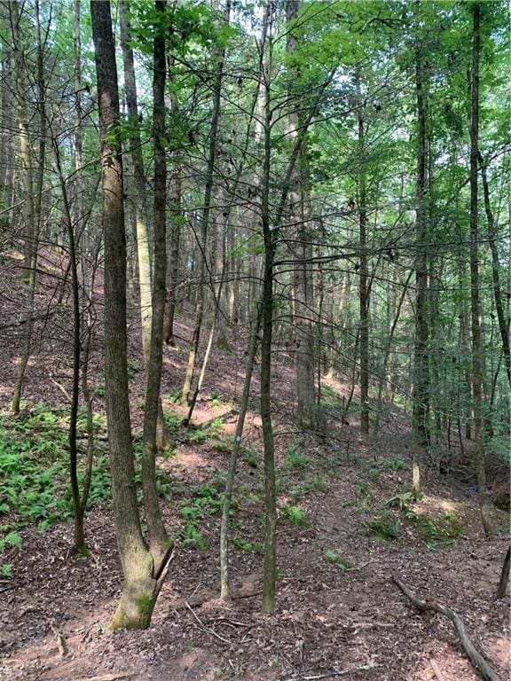 0 River Bend Rd, Ellijay GA, 30540 land for sale