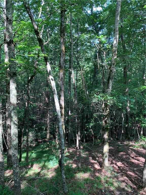 Listing photo 2 for 0 River Bend Rd, Ellijay GA 30540