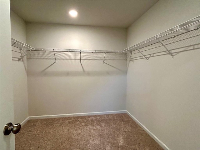 135 Softwood Ct, Dawsonville, GA 30534 - walk in closet with carpet flooring
