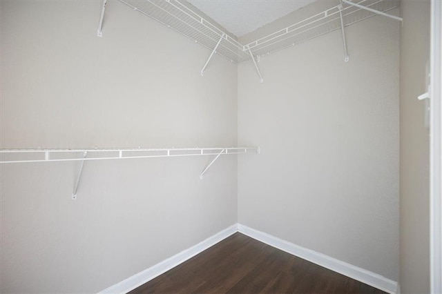 3915 Cypress Pointe Dr, Union City, GA 30291 - spacious closet with dark wood-style floors