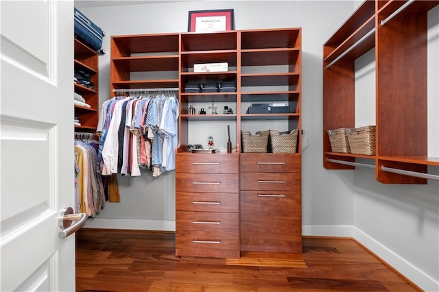 spacious closet with dark hardwood / wood-style flooring