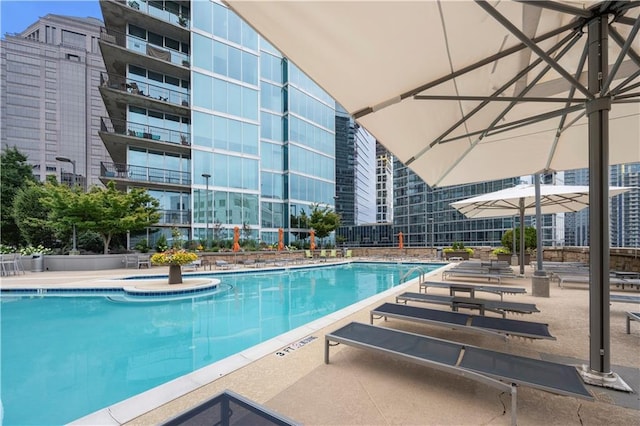 view of swimming pool with a patio area