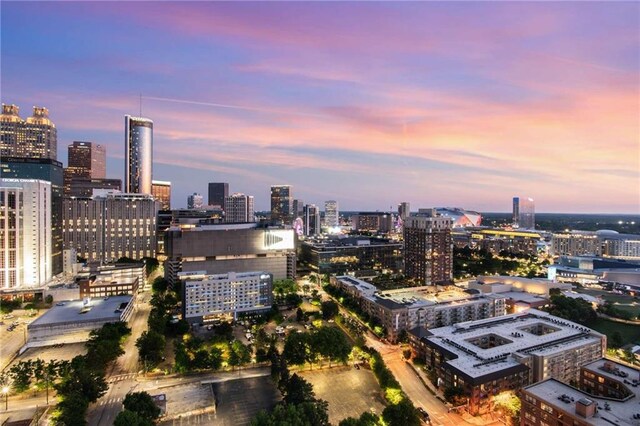 45 Ivan Allen Jr Blvd NW Unit 2705, Atlanta, GA 30308 - city view
