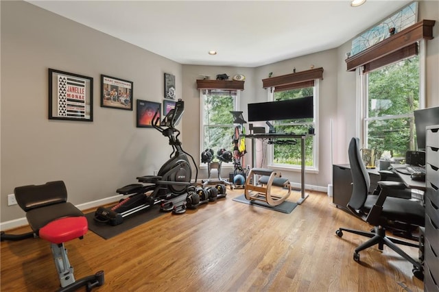 workout room featuring light hardwood / wood-style flooring and a healthy amount of sunlight