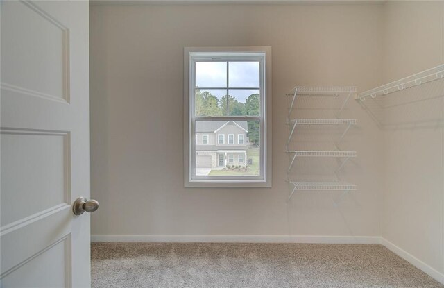 walk in closet with carpet floors