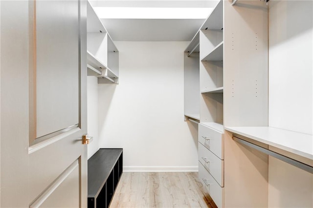 625 Piedmont Ave NE Unit 2004, Atlanta, GA 30308 - spacious closet with light wood-style floors