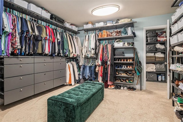 4435 Mossbrook Cir, Alpharetta, GA 30004 - spacious closet with carpet flooring