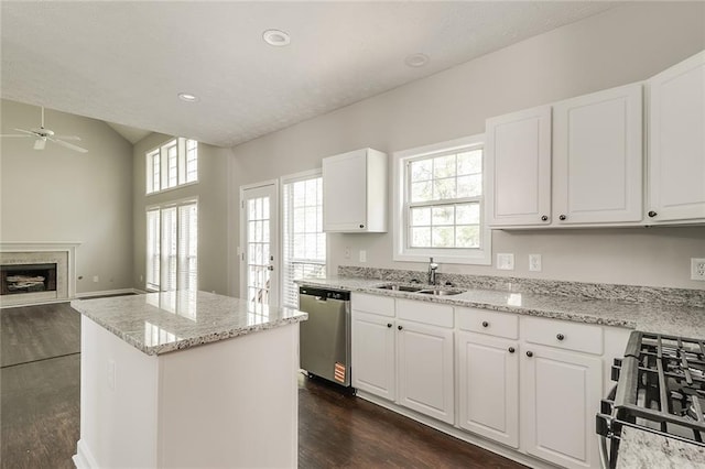 kitchen featuring stainless steel dishwasher, a ceiling fan, a sink, a wealth of natural light, and gas stove