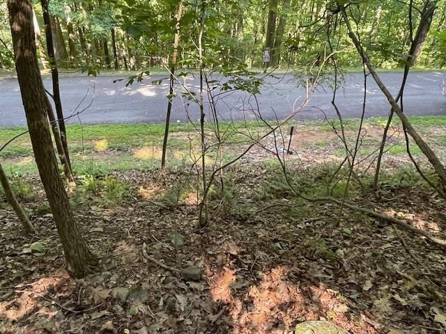 LOT61 Mountainside Dr, Cleveland GA, 30528 land for sale