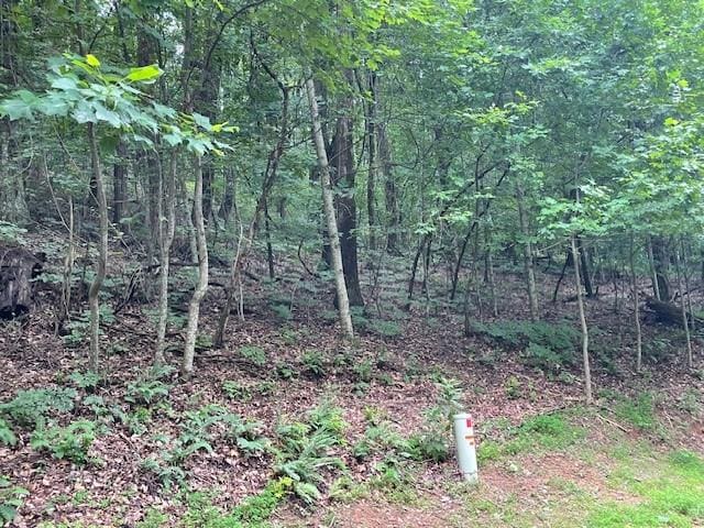 Listing photo 2 for LOT61 Mountainside Dr, Cleveland GA 30528