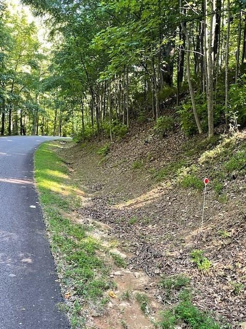 Listing photo 3 for LOT61 Mountainside Dr, Cleveland GA 30528